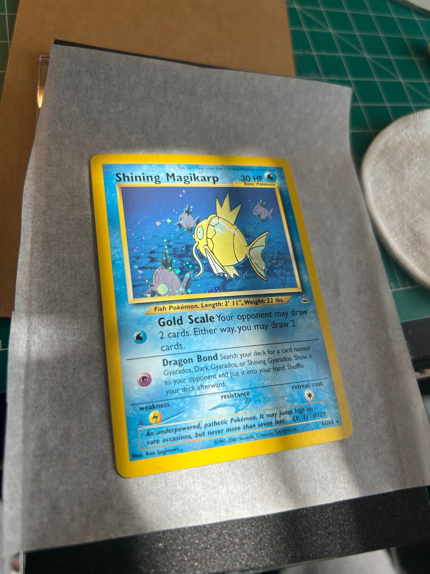 MintFix Pro® Card Flattening Kit – Restore Warped & Curved Trading Cards